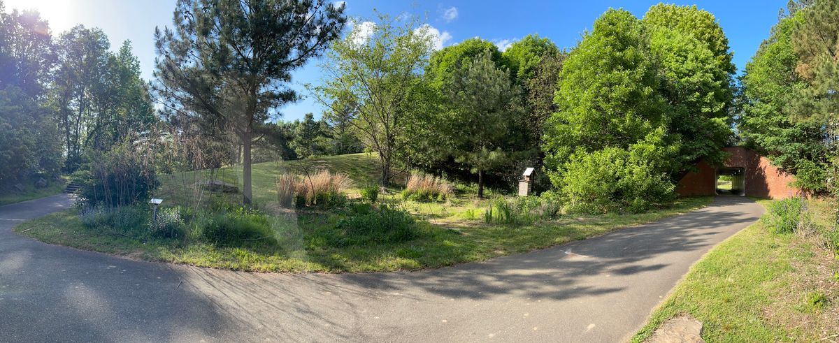 This is steep hill on backside of Hole 3. One of mine rolled to greenway, & picked up speed! 😀