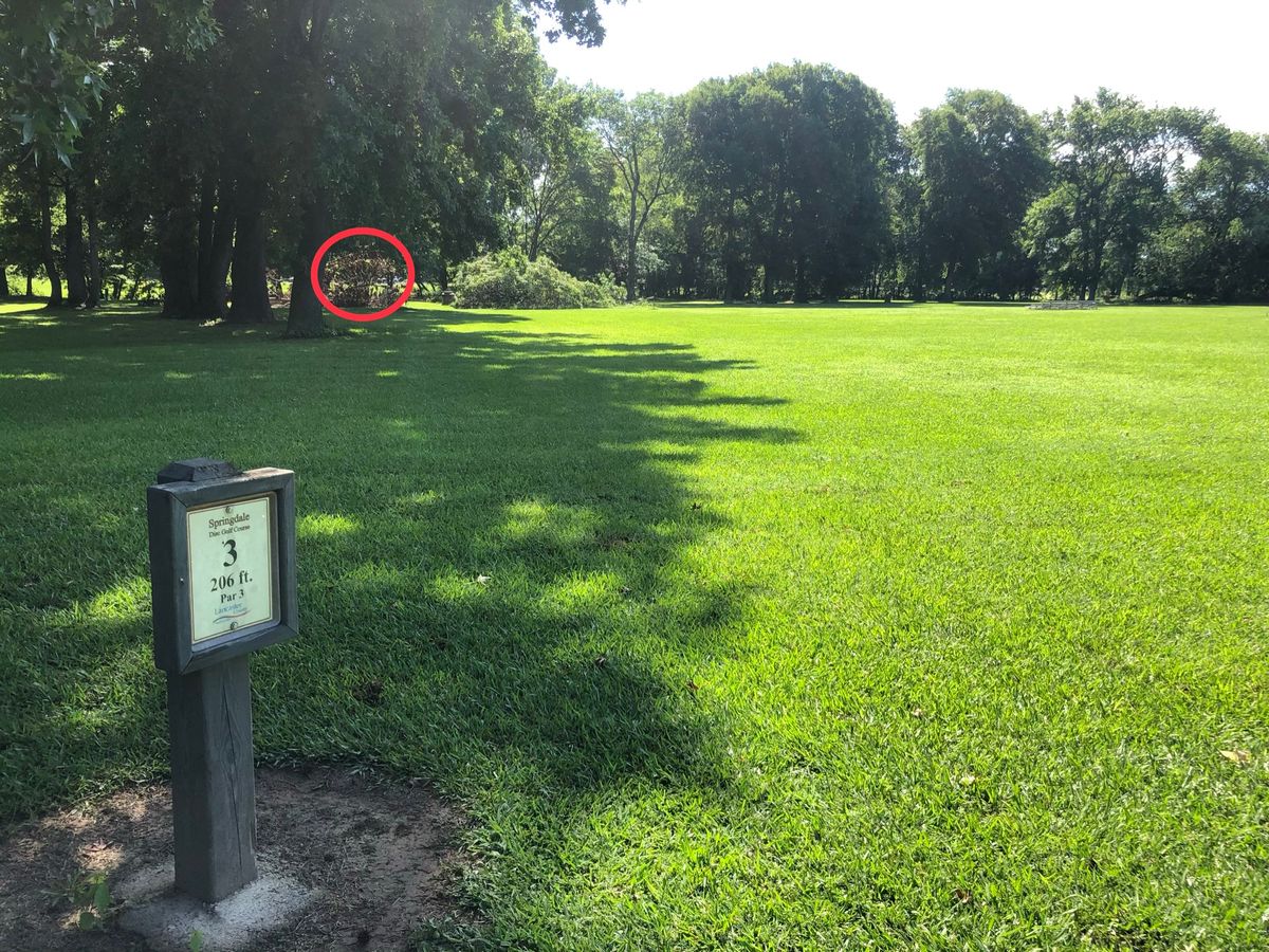 Hole #3 tee