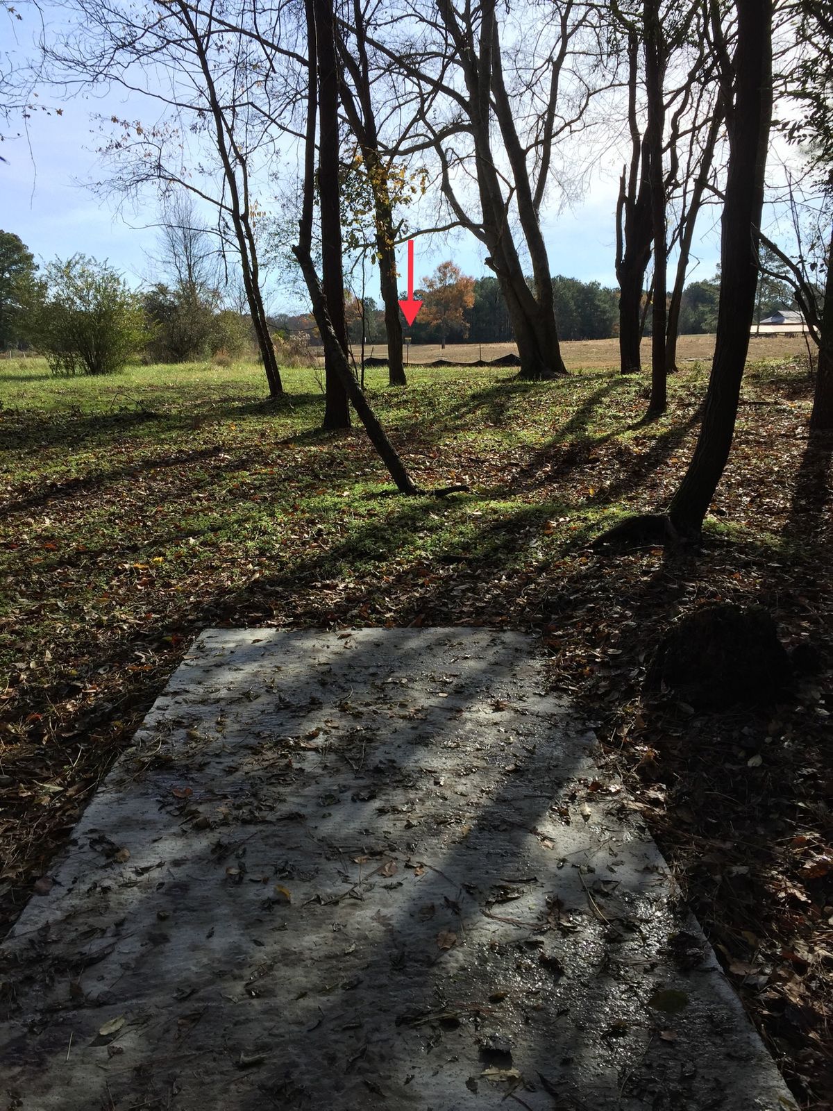 Hole #10 Tee