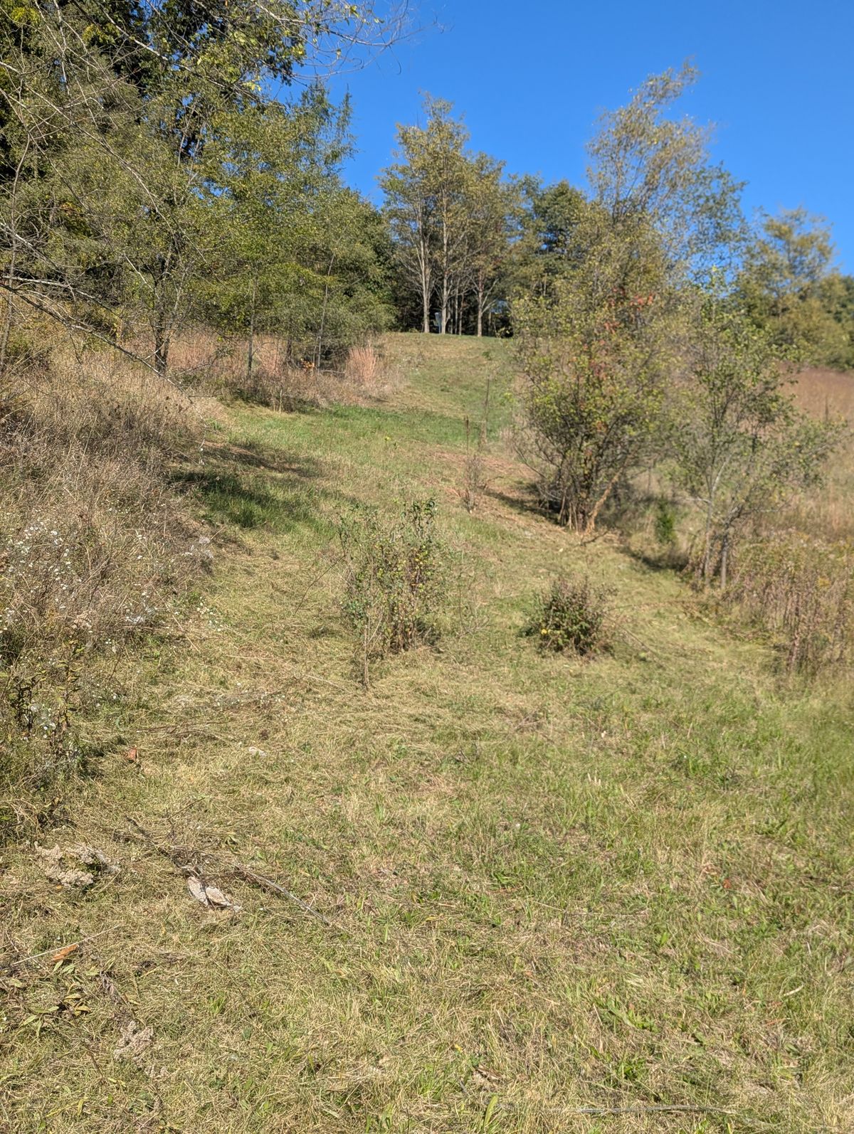 Hole 6