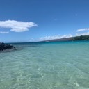 alohavibes