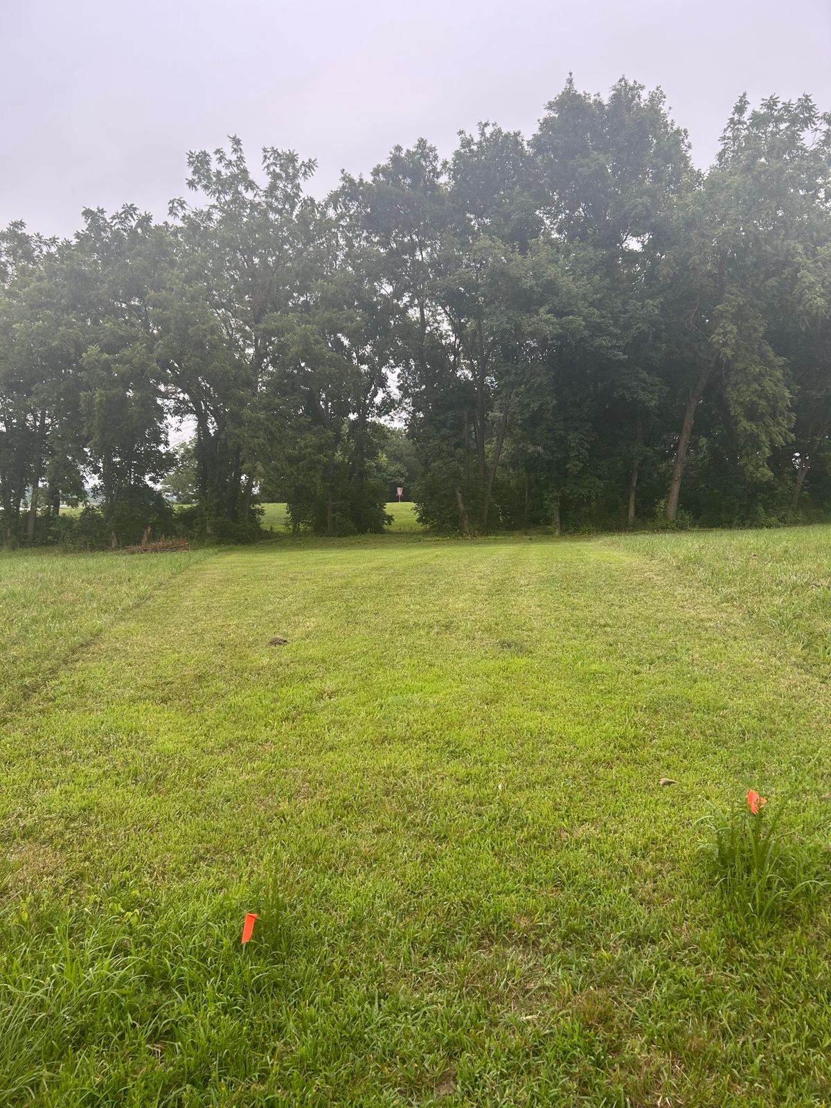 Hole 7 hit the gap