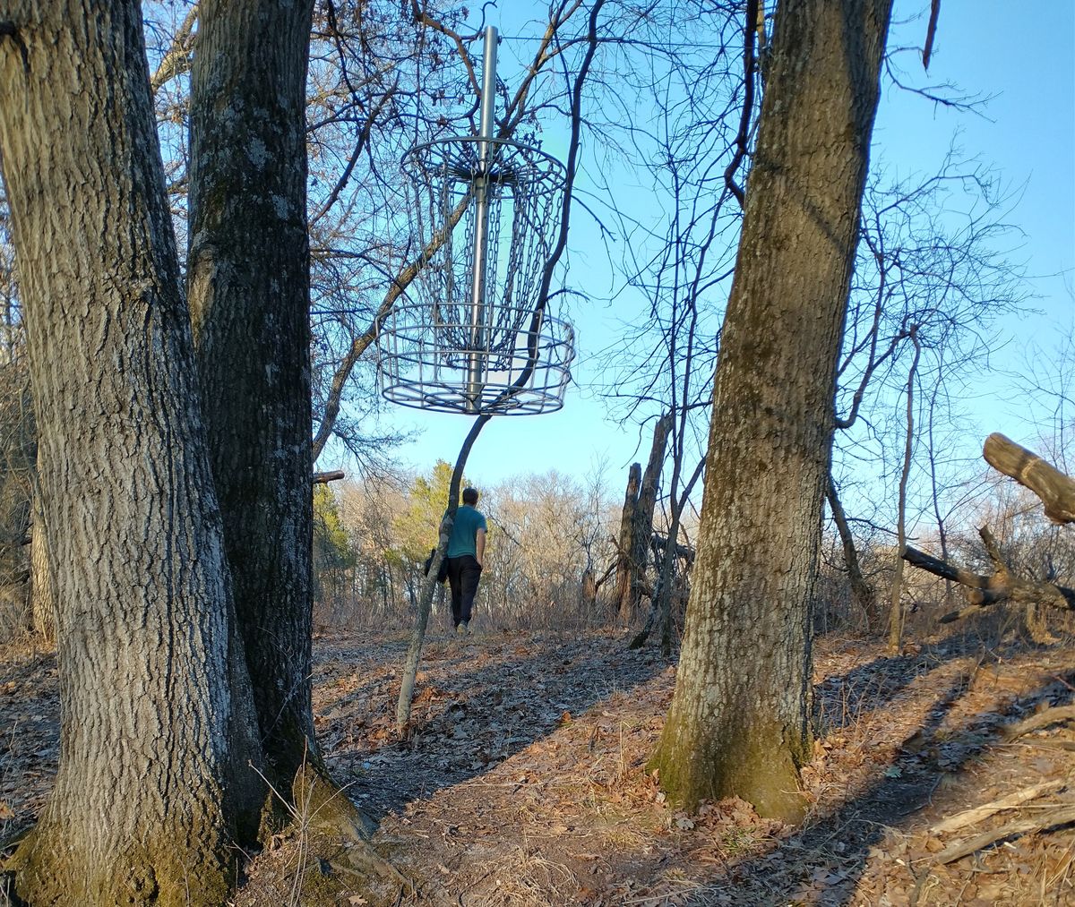 Hole #14; Hanging Basket