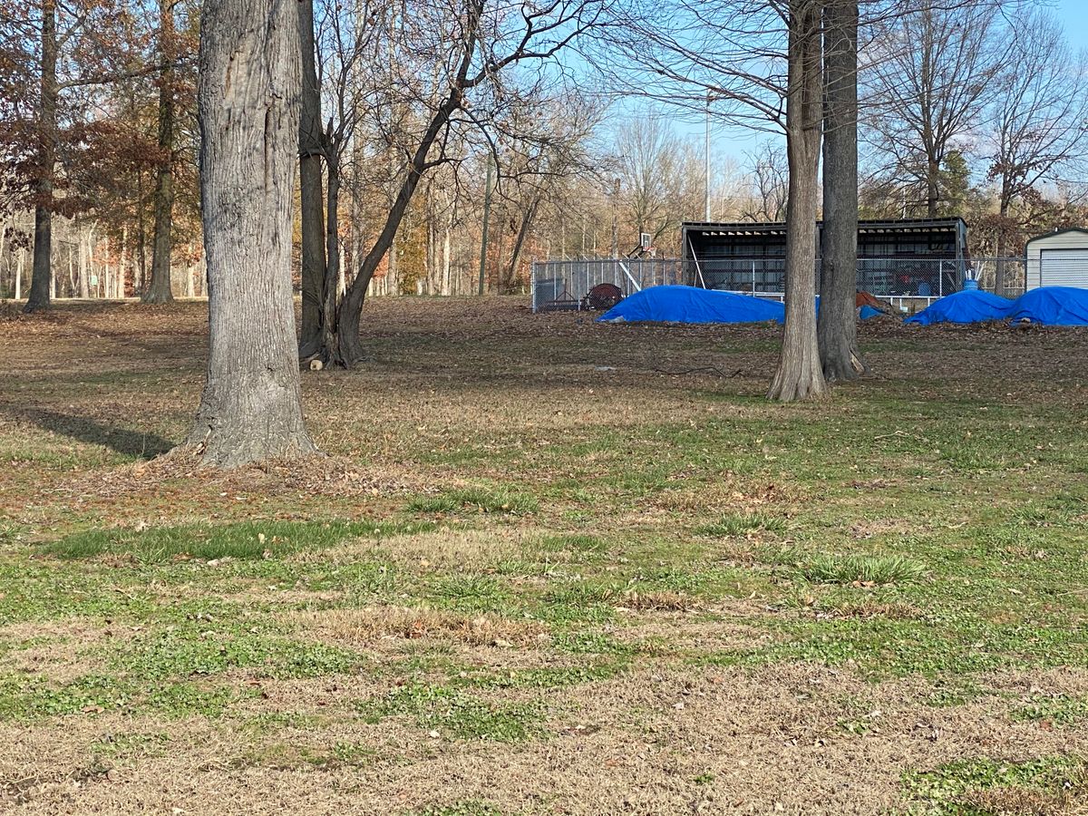 Hole 10 short green