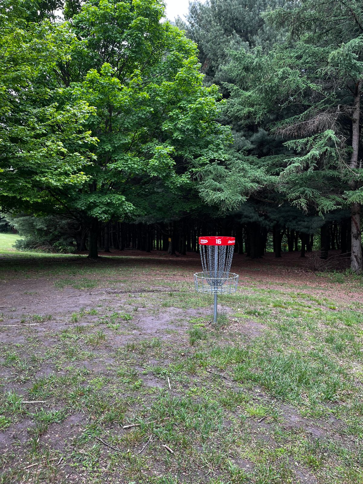 Hole 16 red green