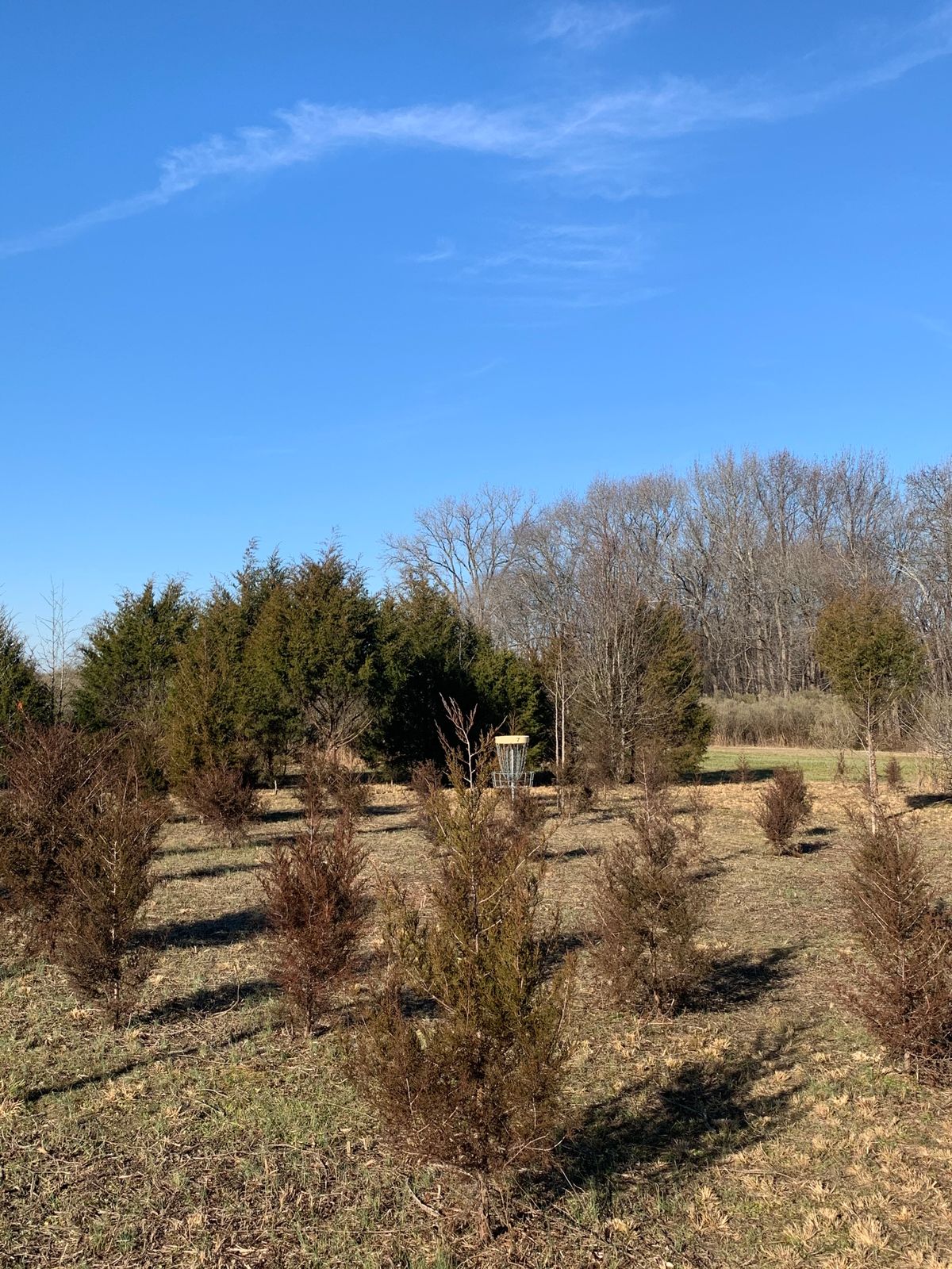 Hole 7