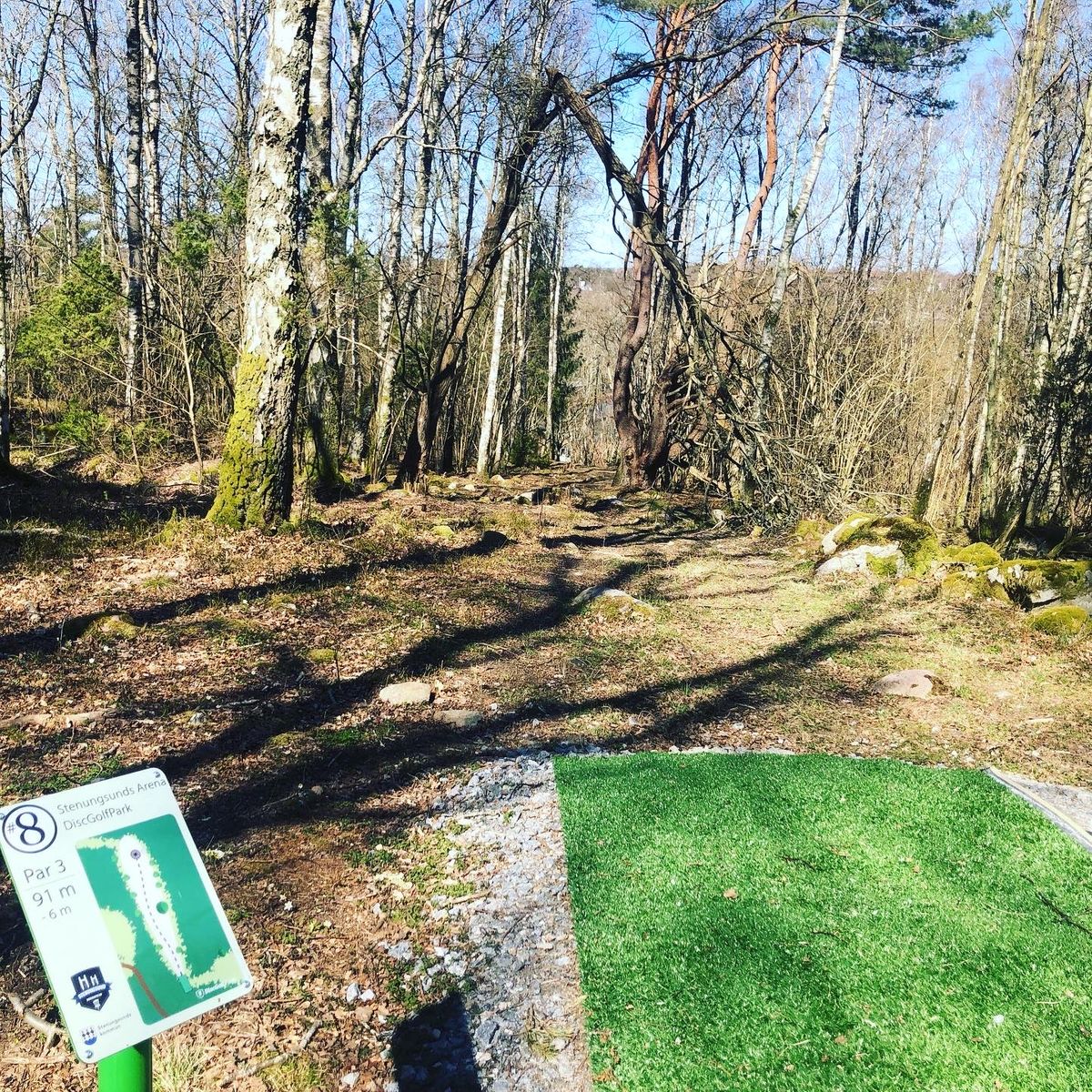 Hole 8 - Basket is far down on the left side