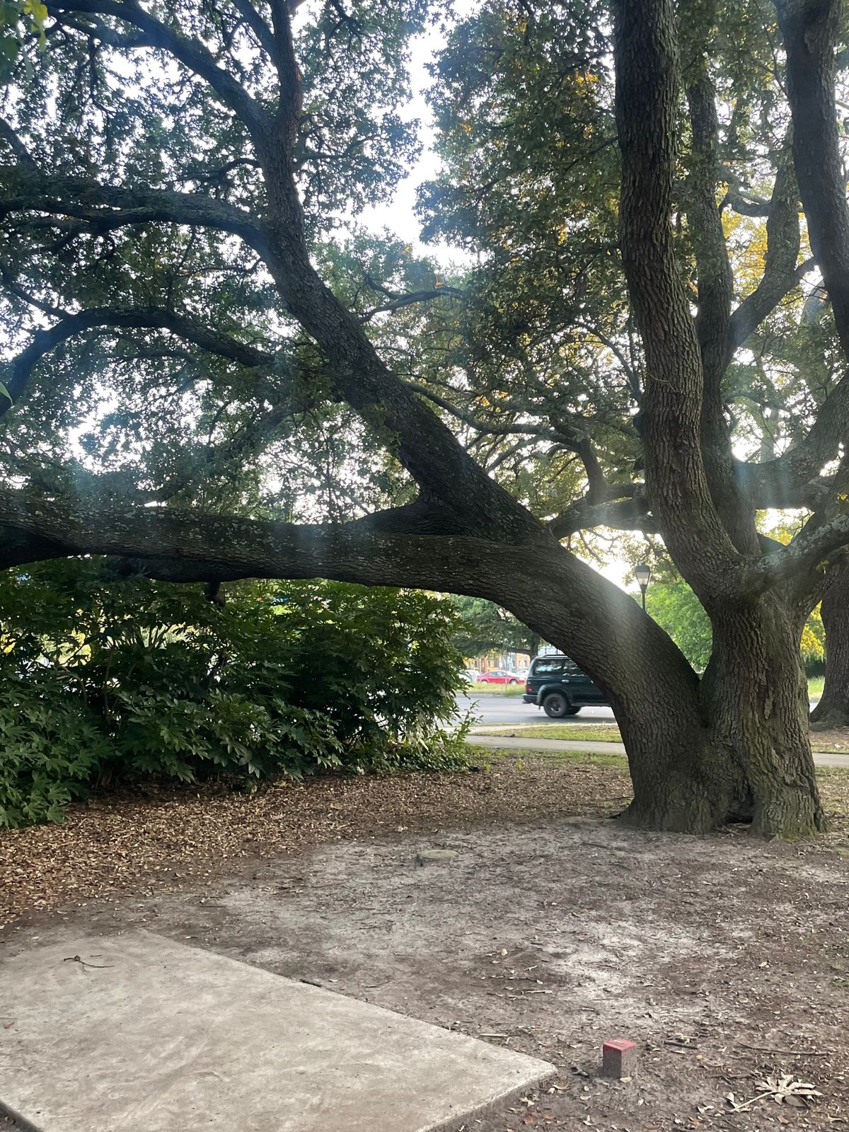 Hole 6