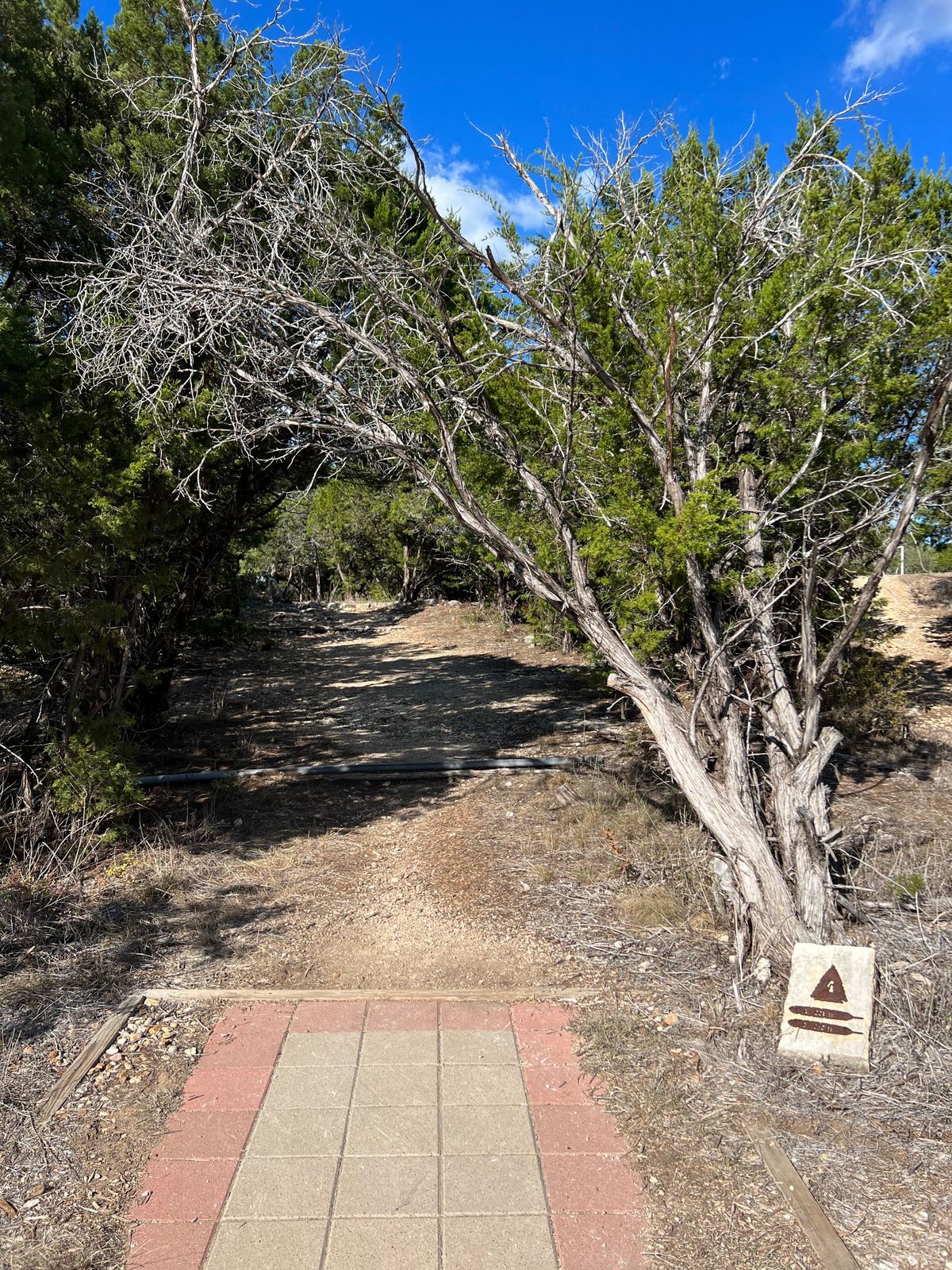 Hole #4 Main Tee