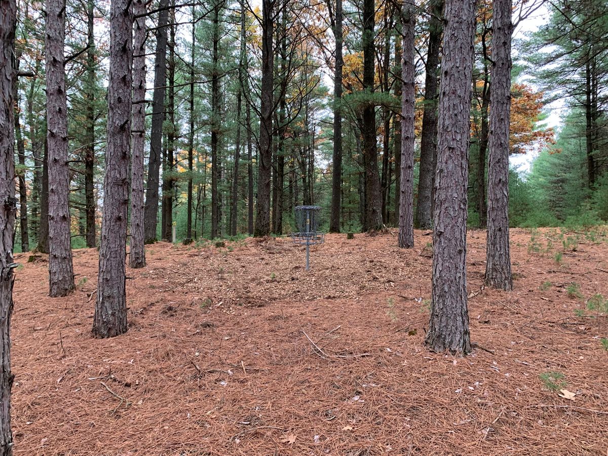 Hole 10 approach (shared basket with hole 4)