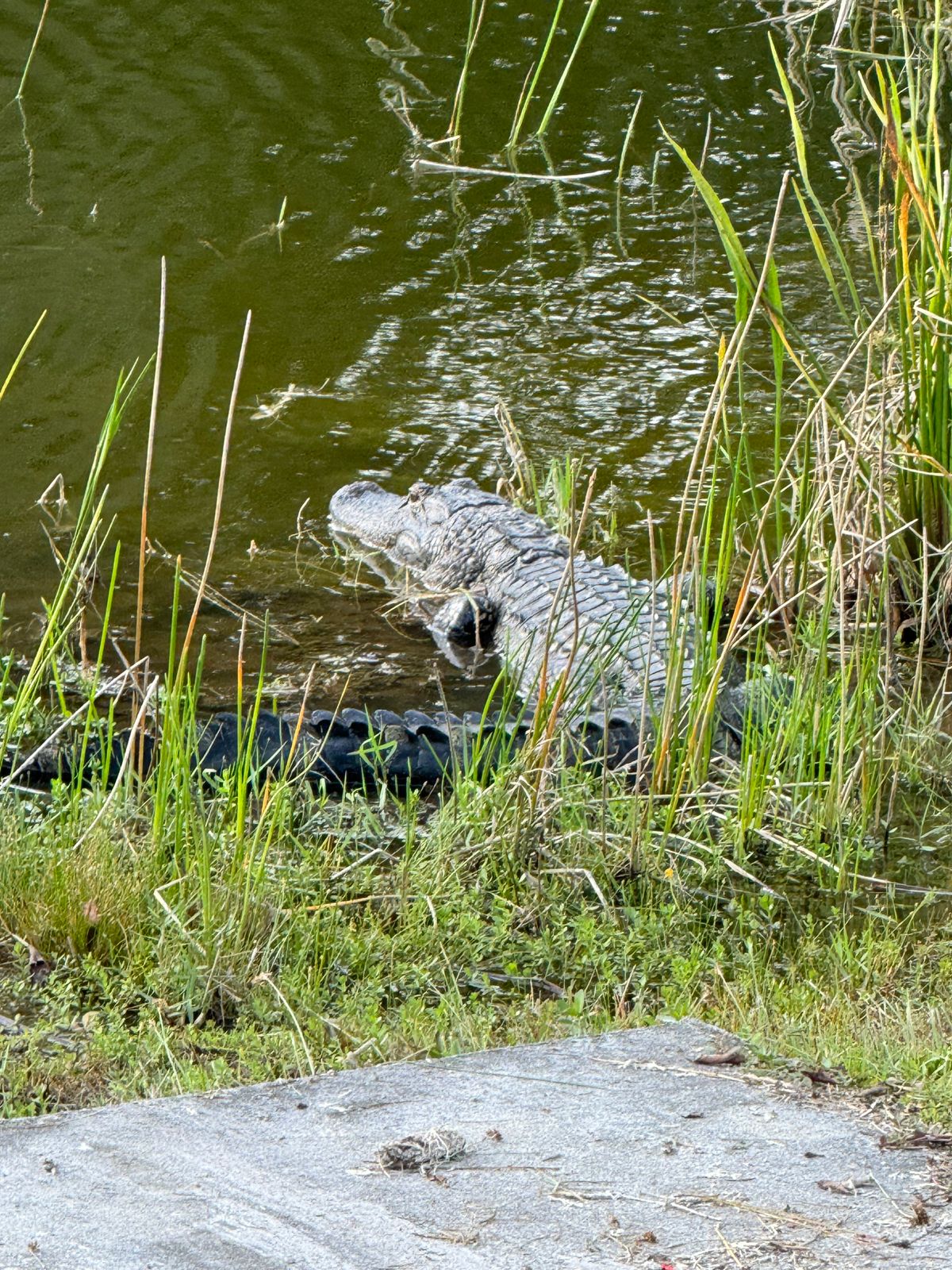 Be carful whenever you’re near the water!