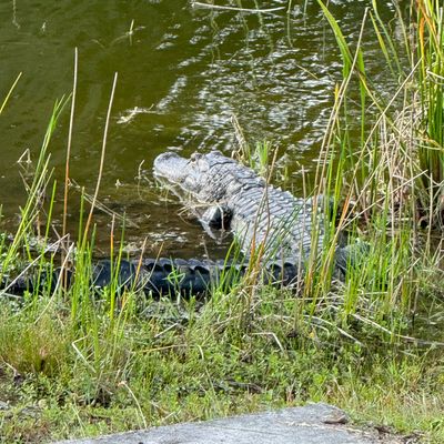 Be carful whenever you’re near the water!