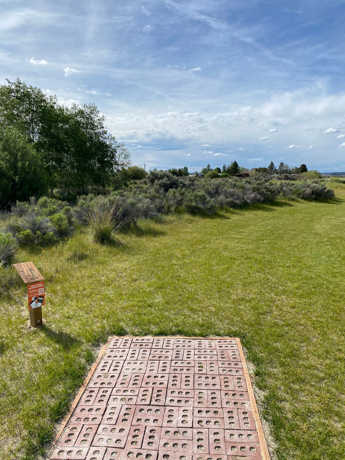 Tee 1