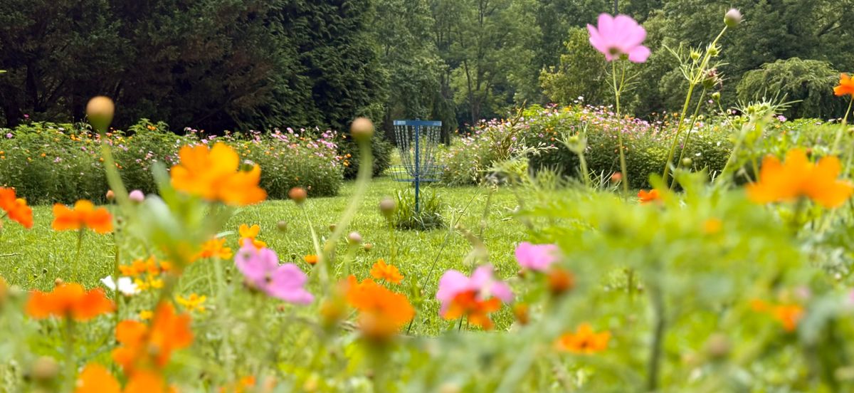 Beautiful flowers for the island hole.