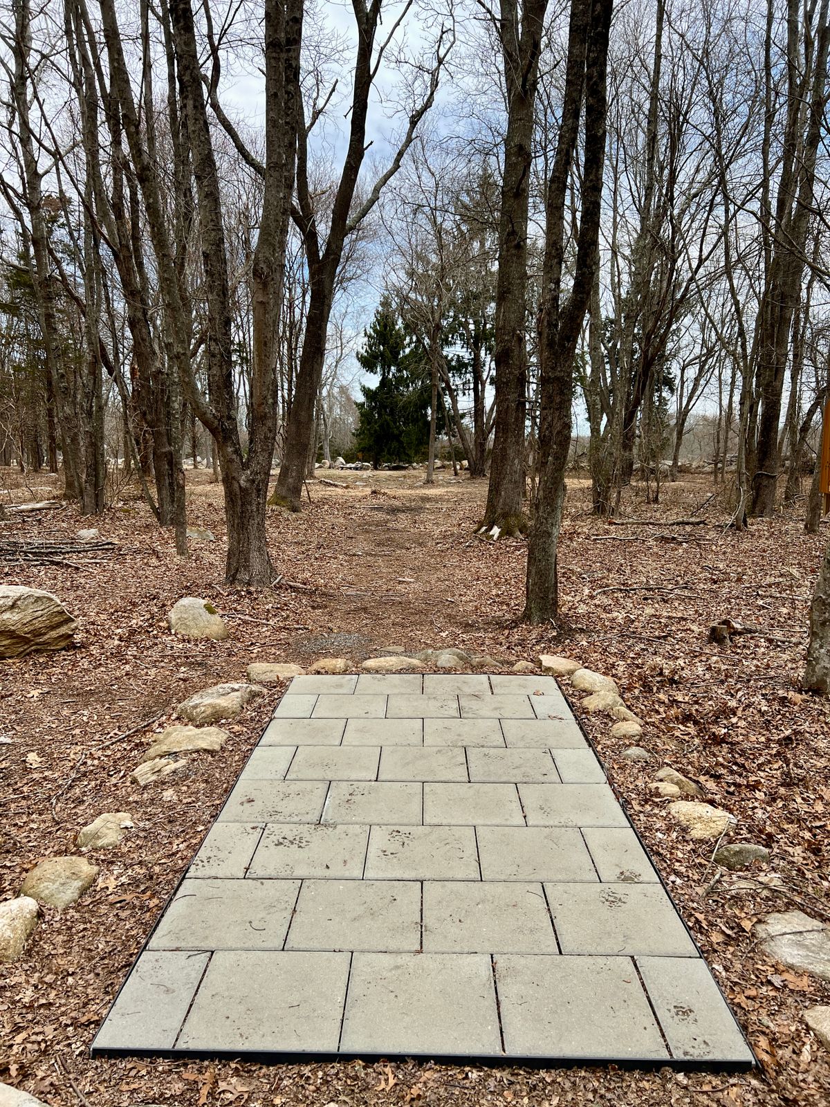 Hole #11 Long 3/25