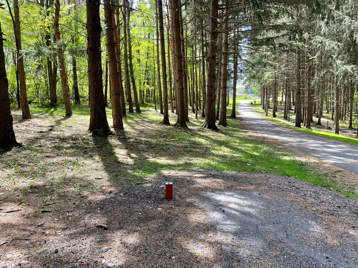 Hole 5 Short Tee