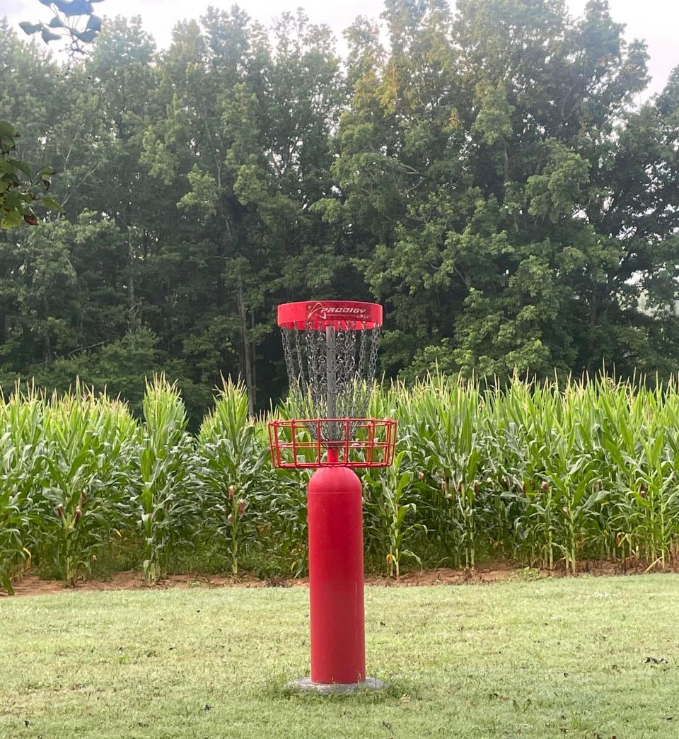 Hole 12 during summer, modified hole placement 
