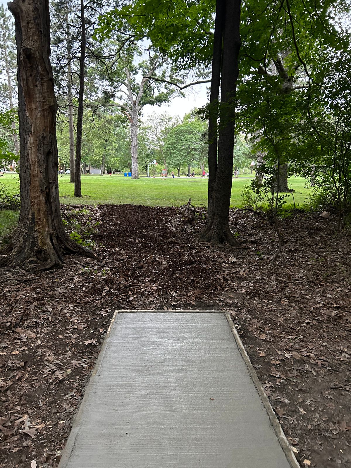Hole 6 tee pad the early gap