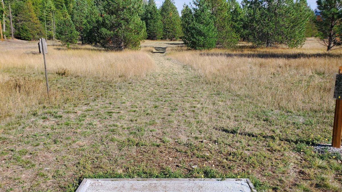 Tee pad hole 15