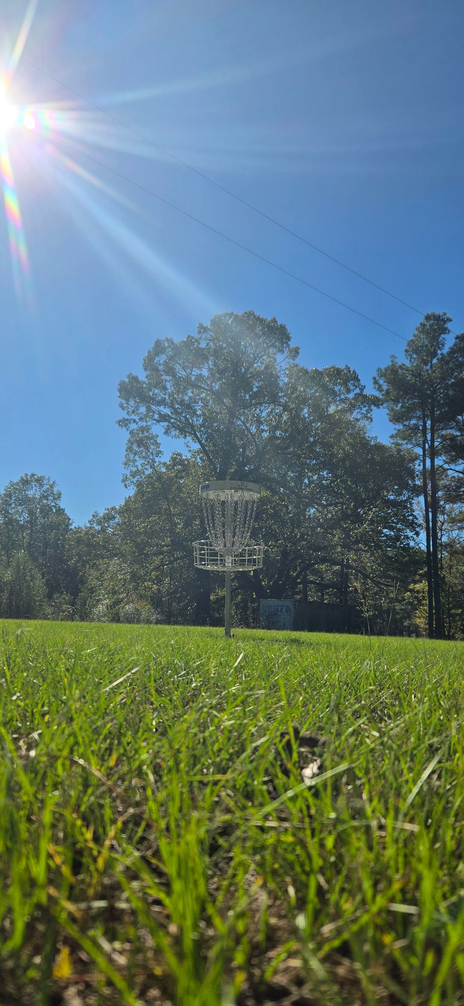 Hole 15 green