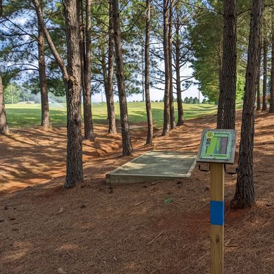 Hole 12B Longs