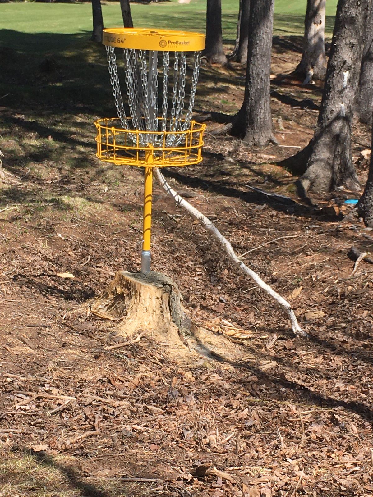 Stump basket hole 13