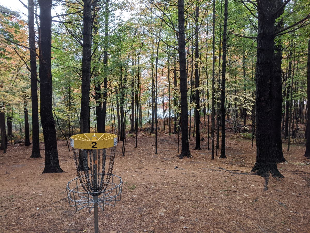 #2 basket. Pond view through the pikes