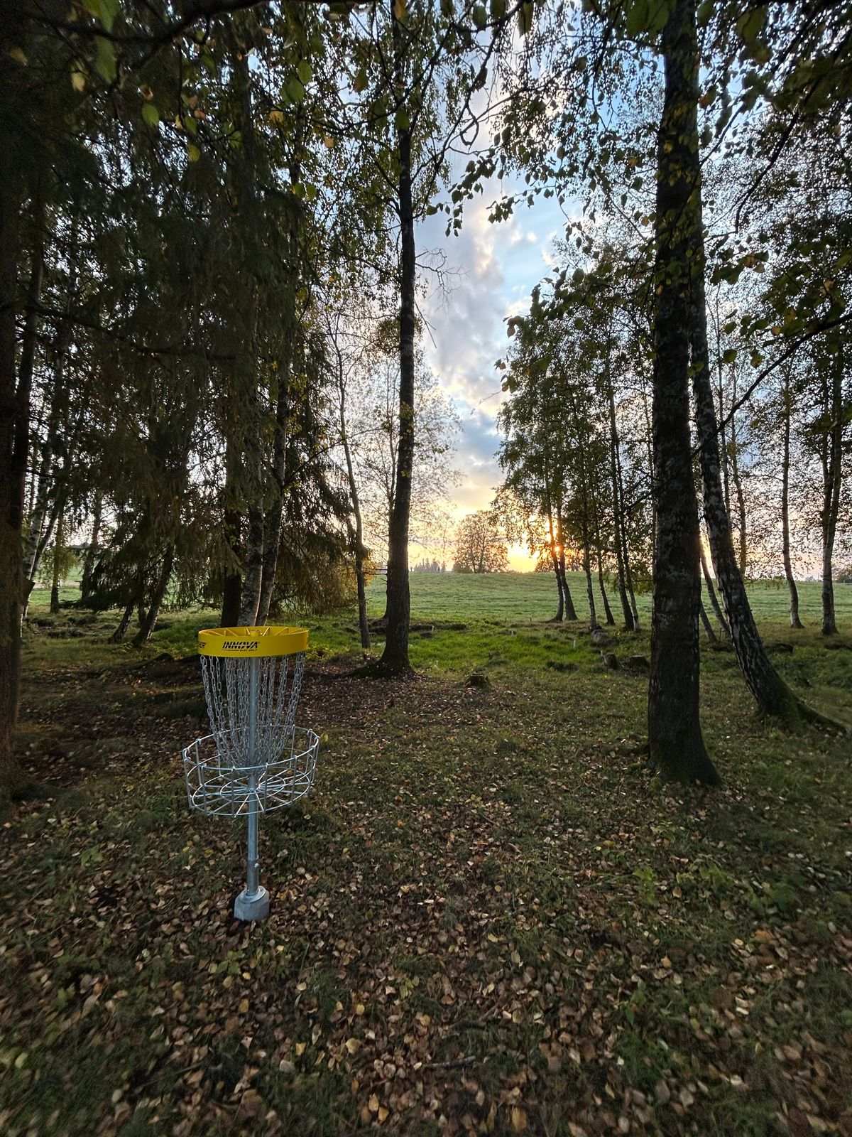 View from the basket on hole 3