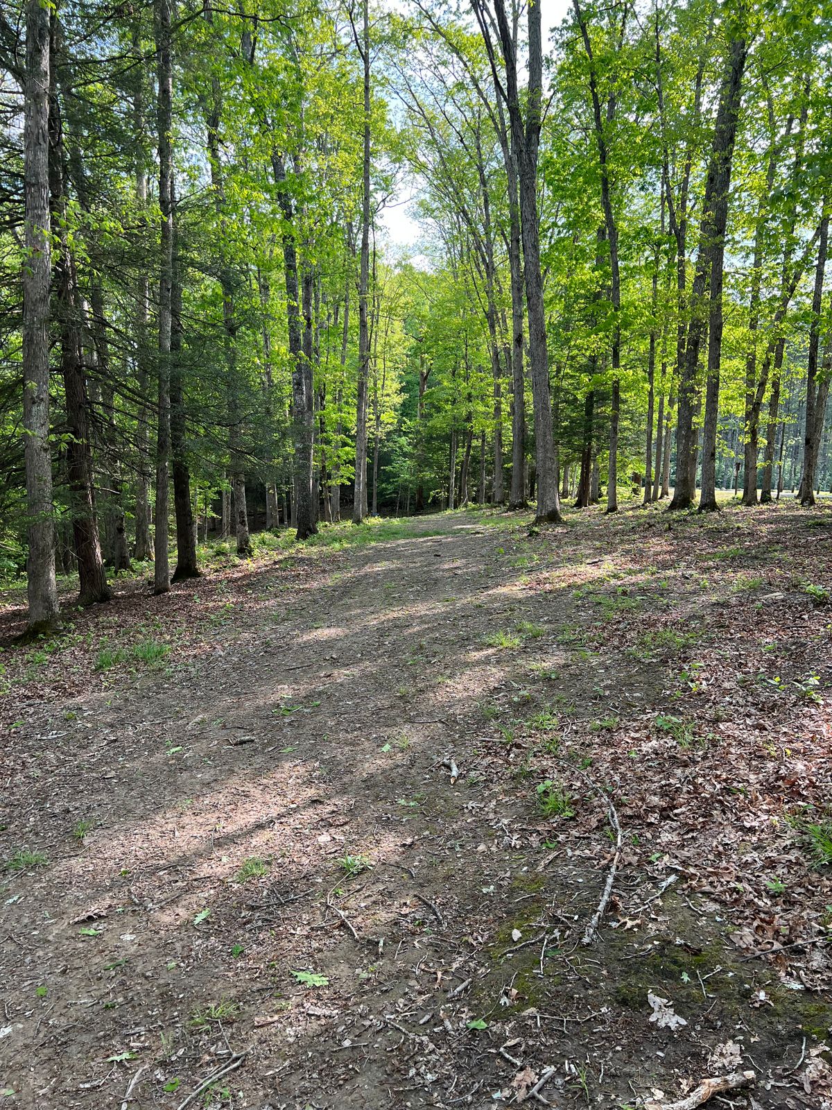 Hole 3 Mid-Fairway
