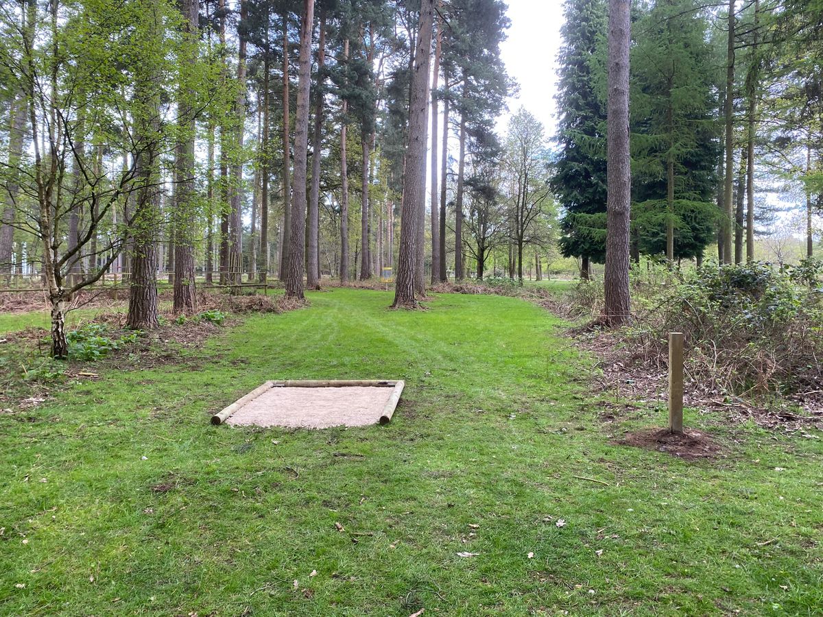 Tee 1 short
