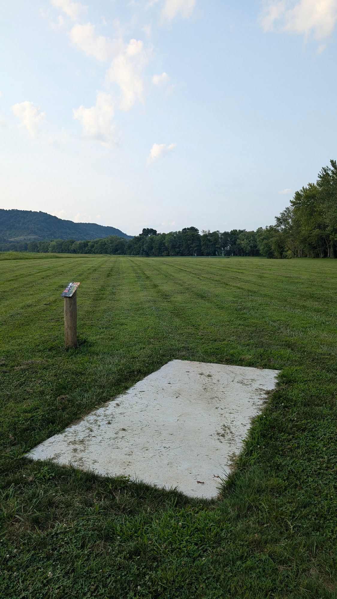 Hole 8 tee