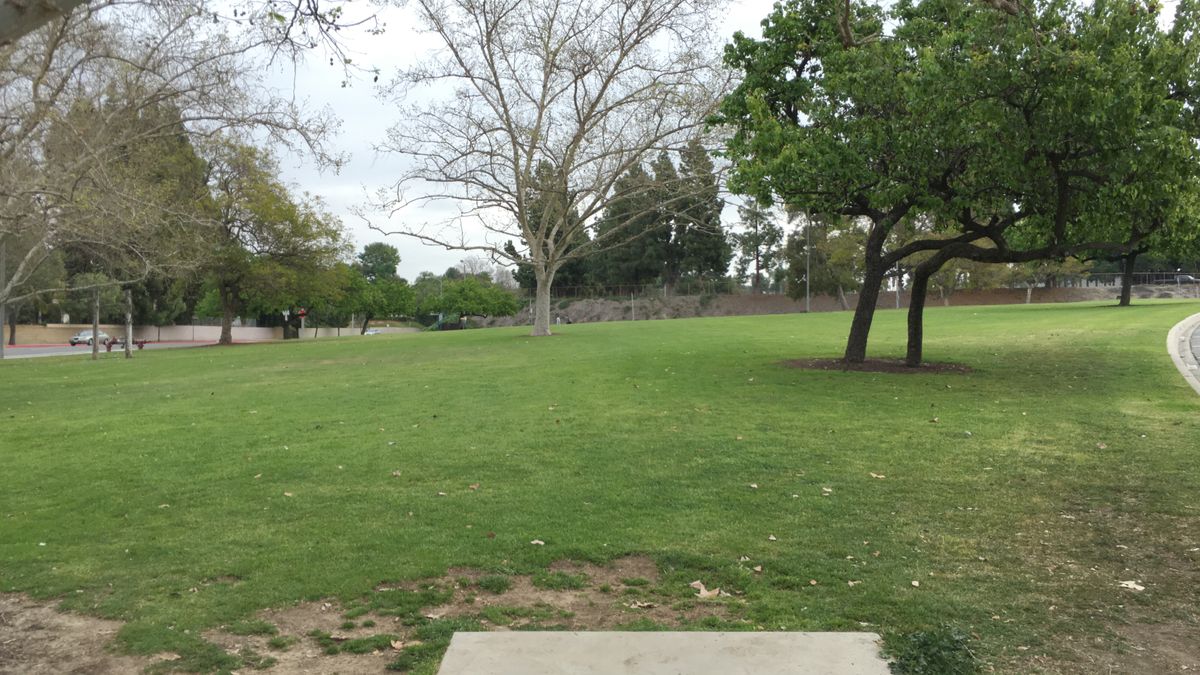 Hole 11