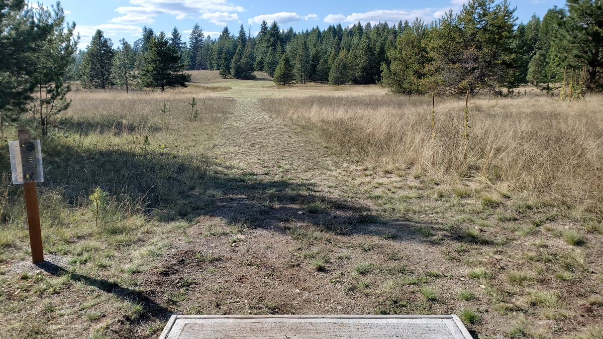 Tee pad hole 16