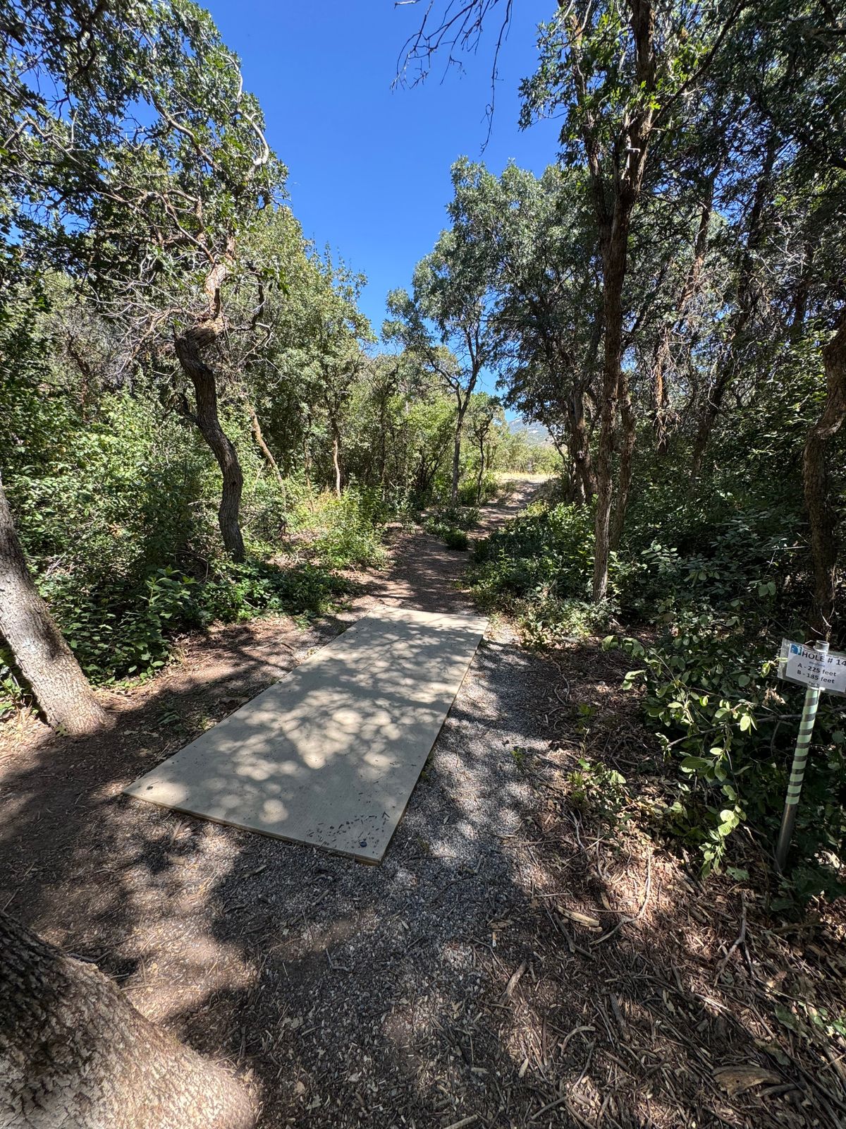 Hole 14 - new pad area. 60 ft further back and  with concrete fiber pad instead of dirt