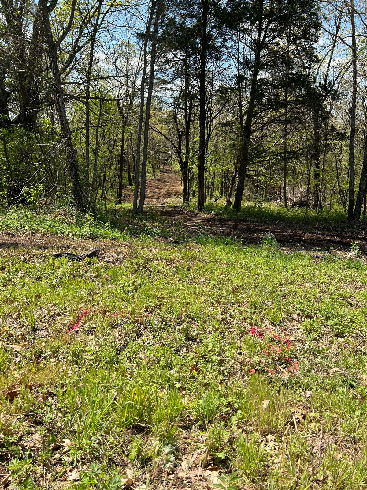 Hole 3 tee