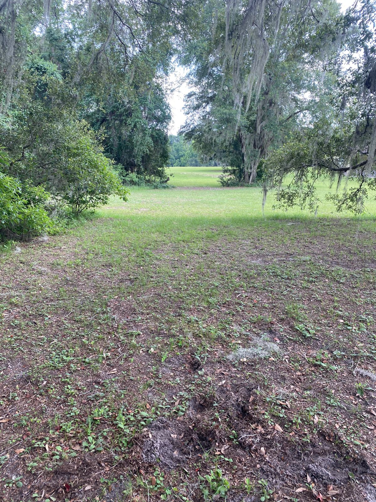 Hole 14