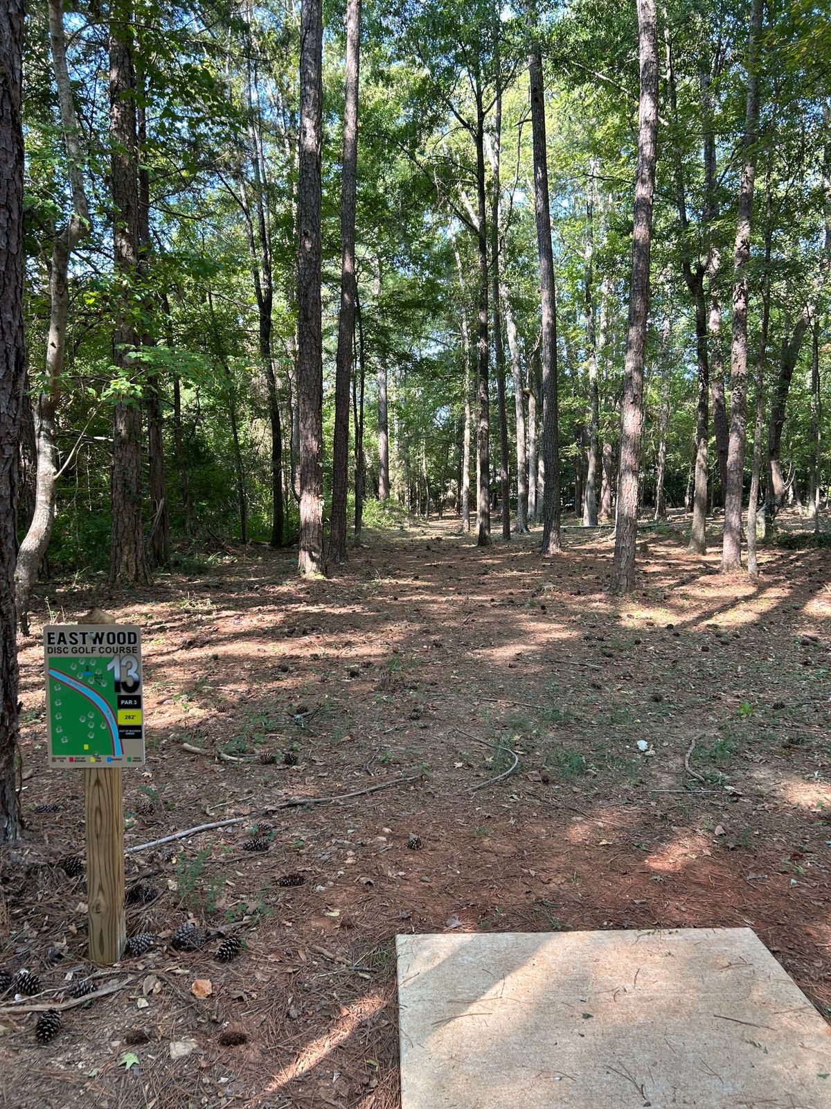 Hole 13 Tee