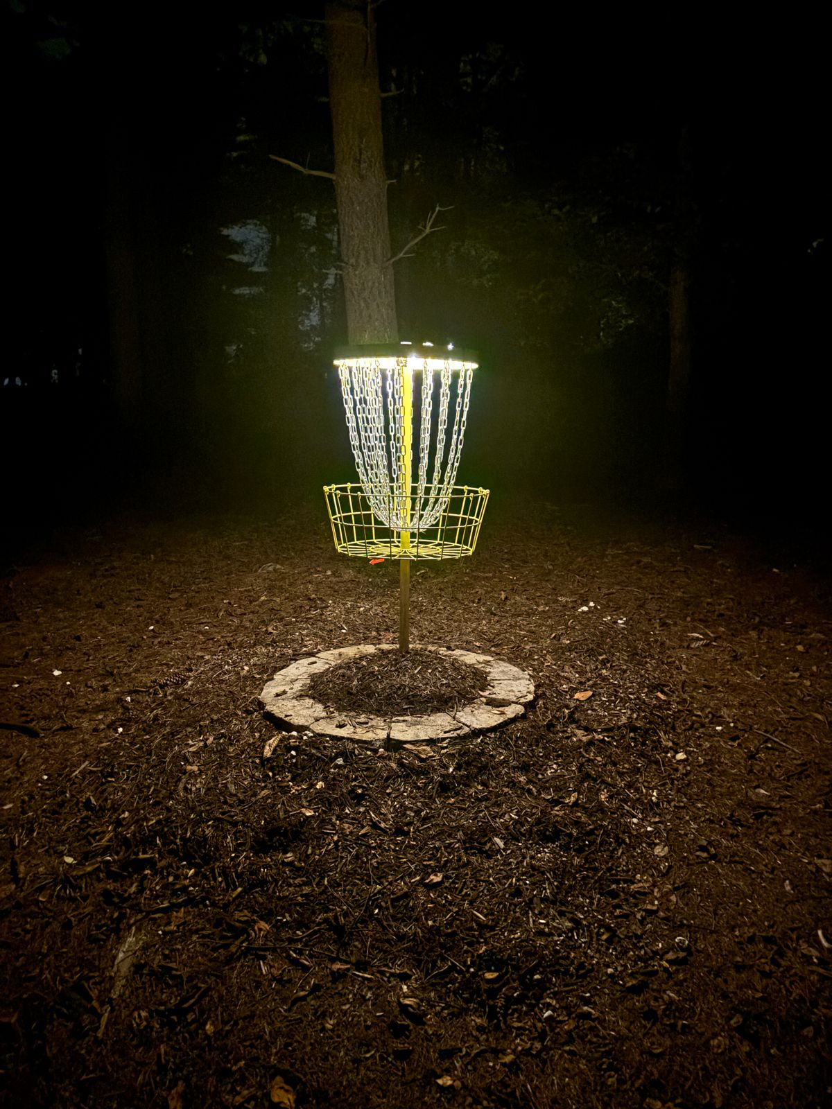 Hole 3. Glow coming late fall.