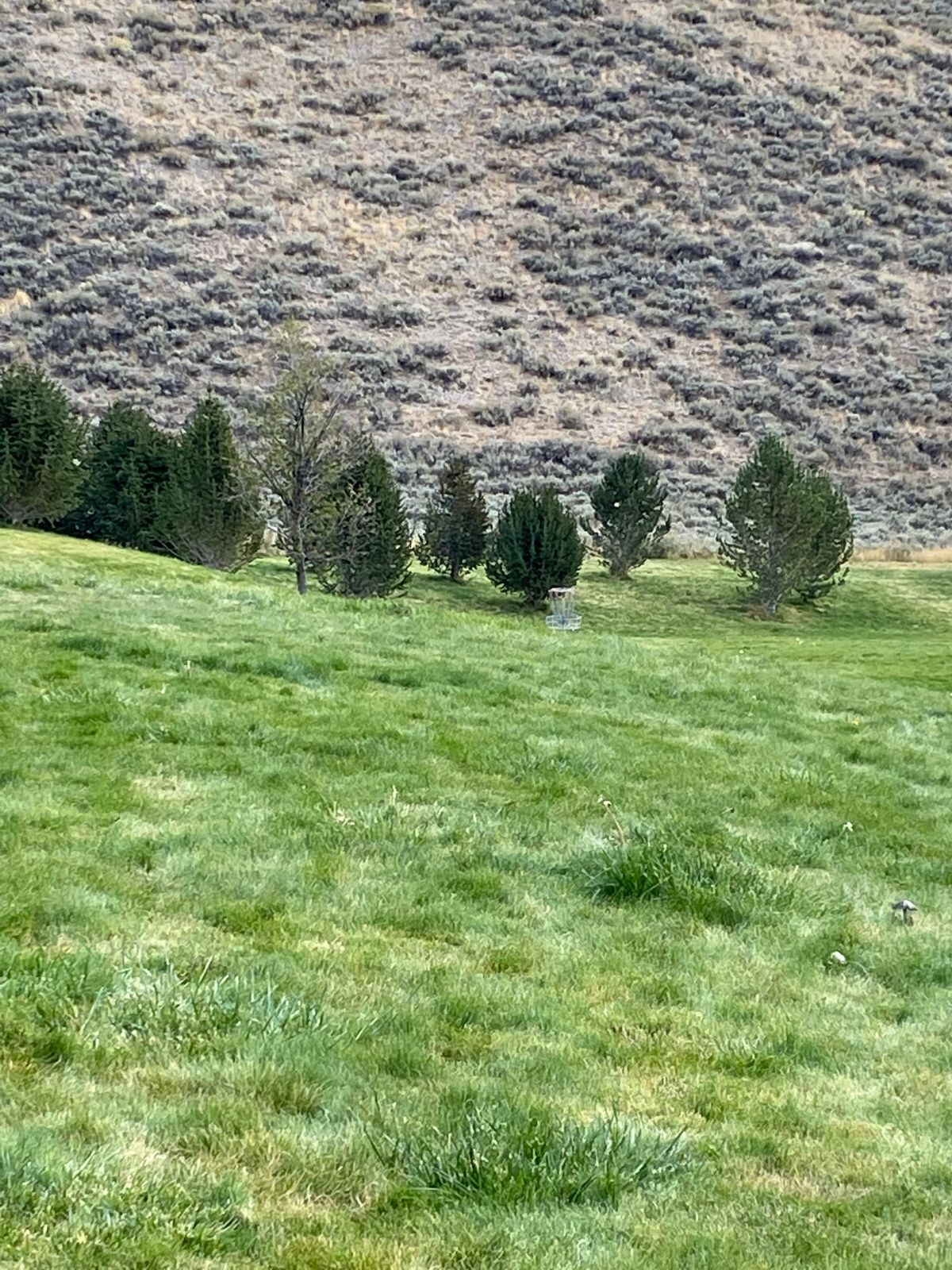Hole 1 cage