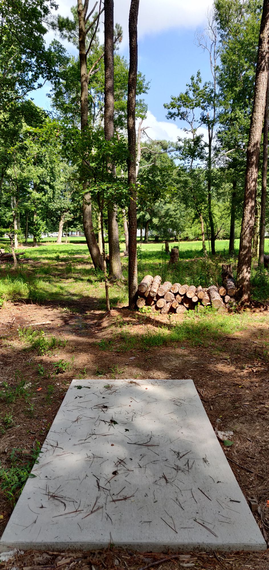Hole 7 Tee