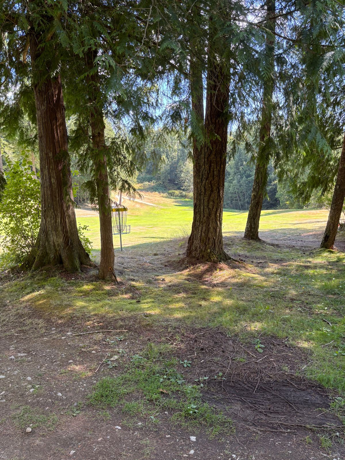 Hole 1 back towards tee pad