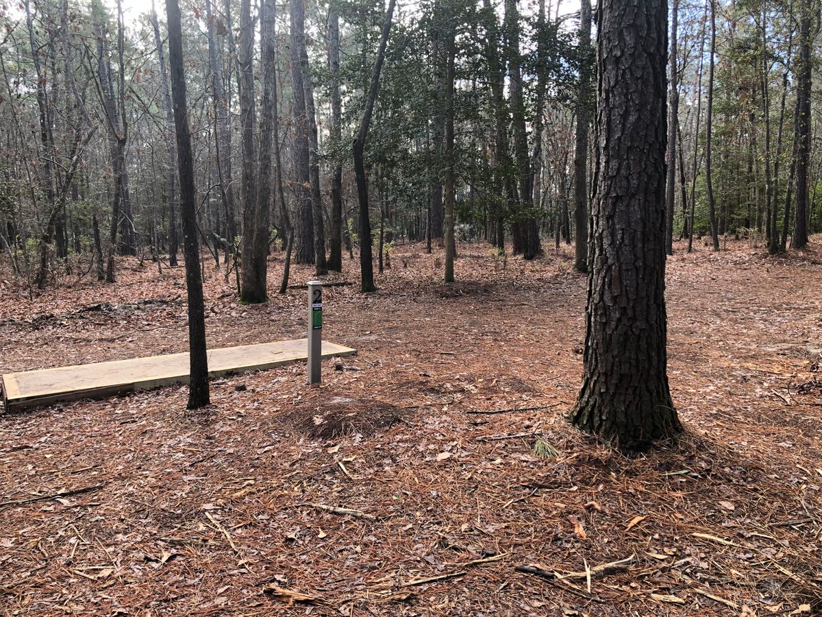 hole 2