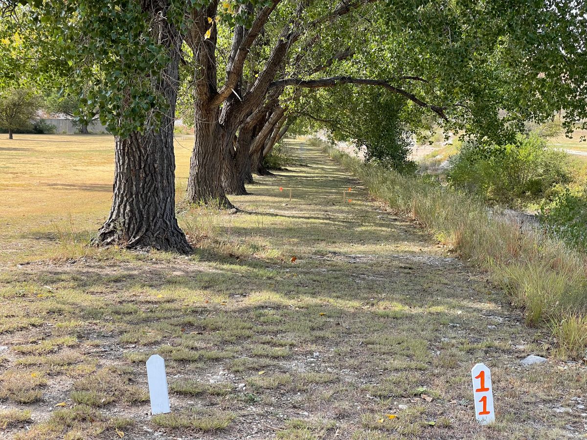 So many trees on this course, and you'd never expect it on the drive out here. bring your tunnel shot A-game.