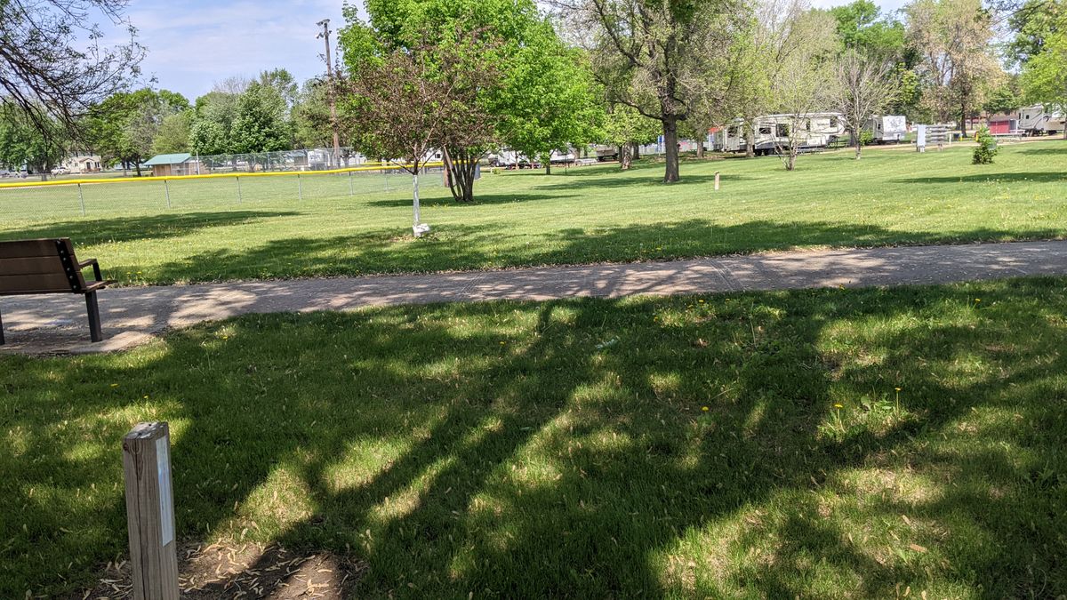 Tee #7
