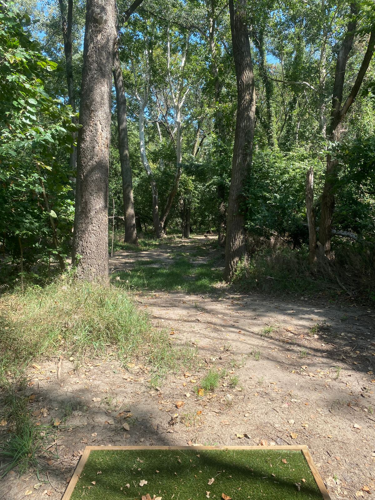 Hole 15 tee