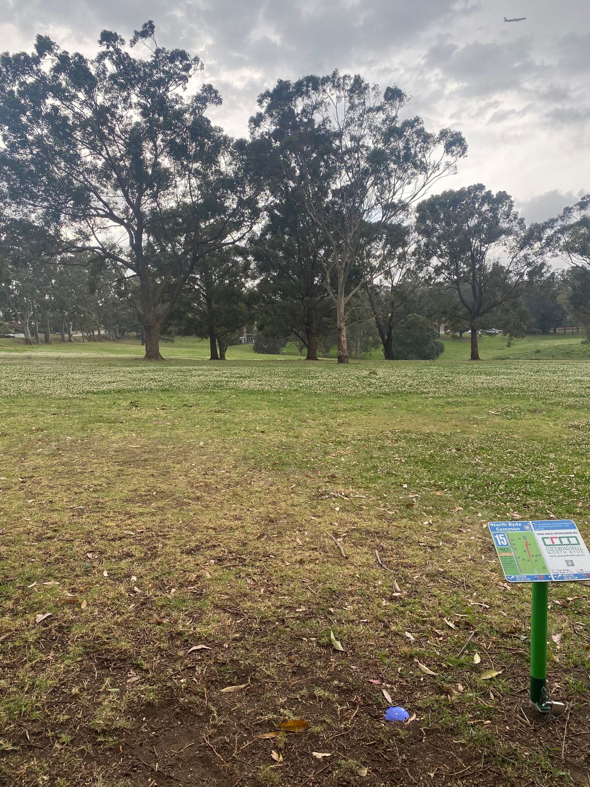 Hole 15 Fairway