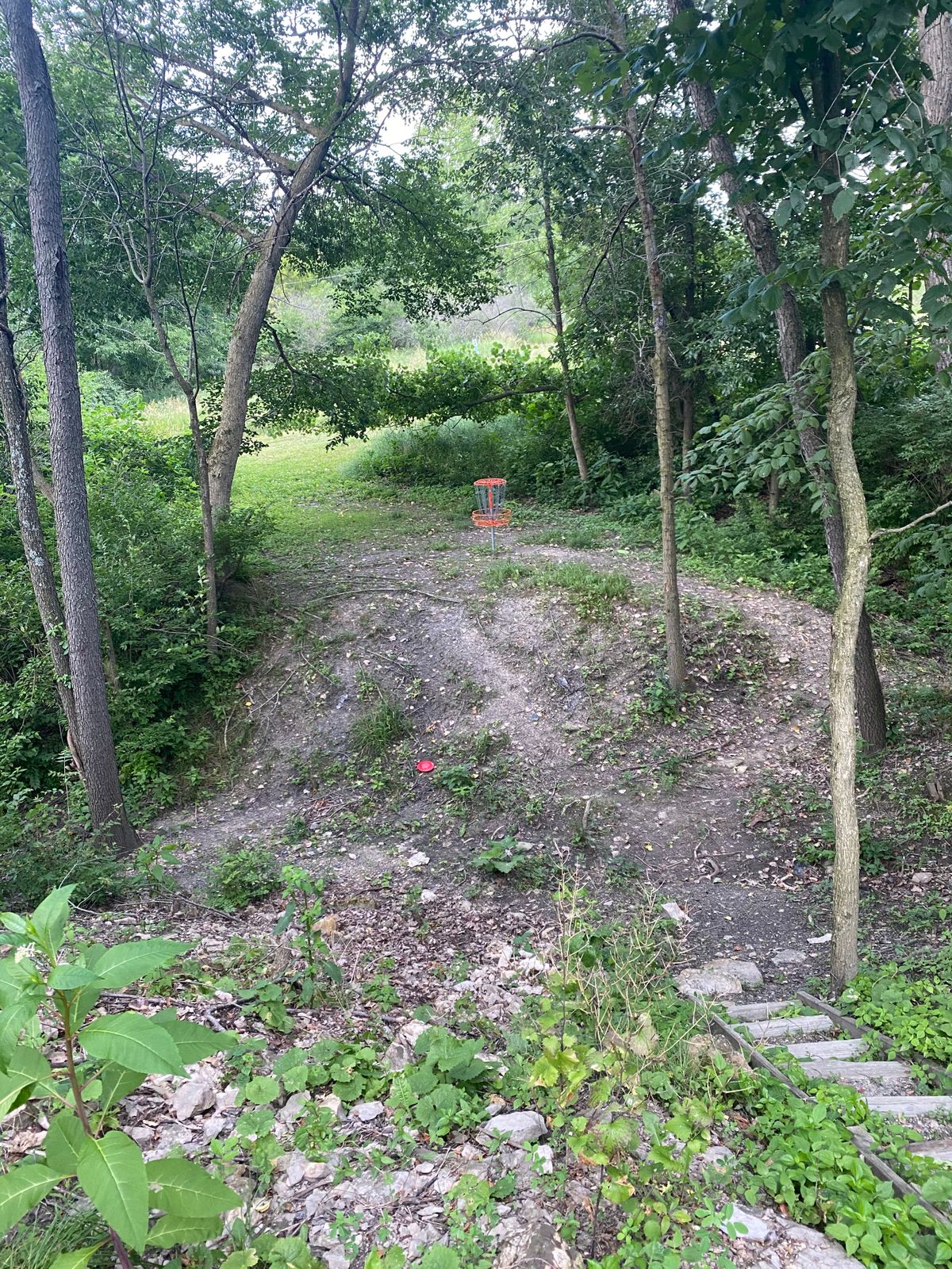 Hole 4 basket