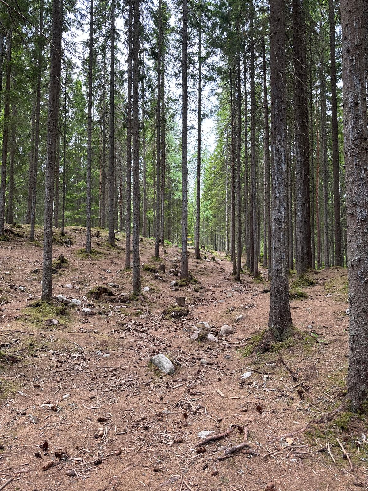 Hål 13