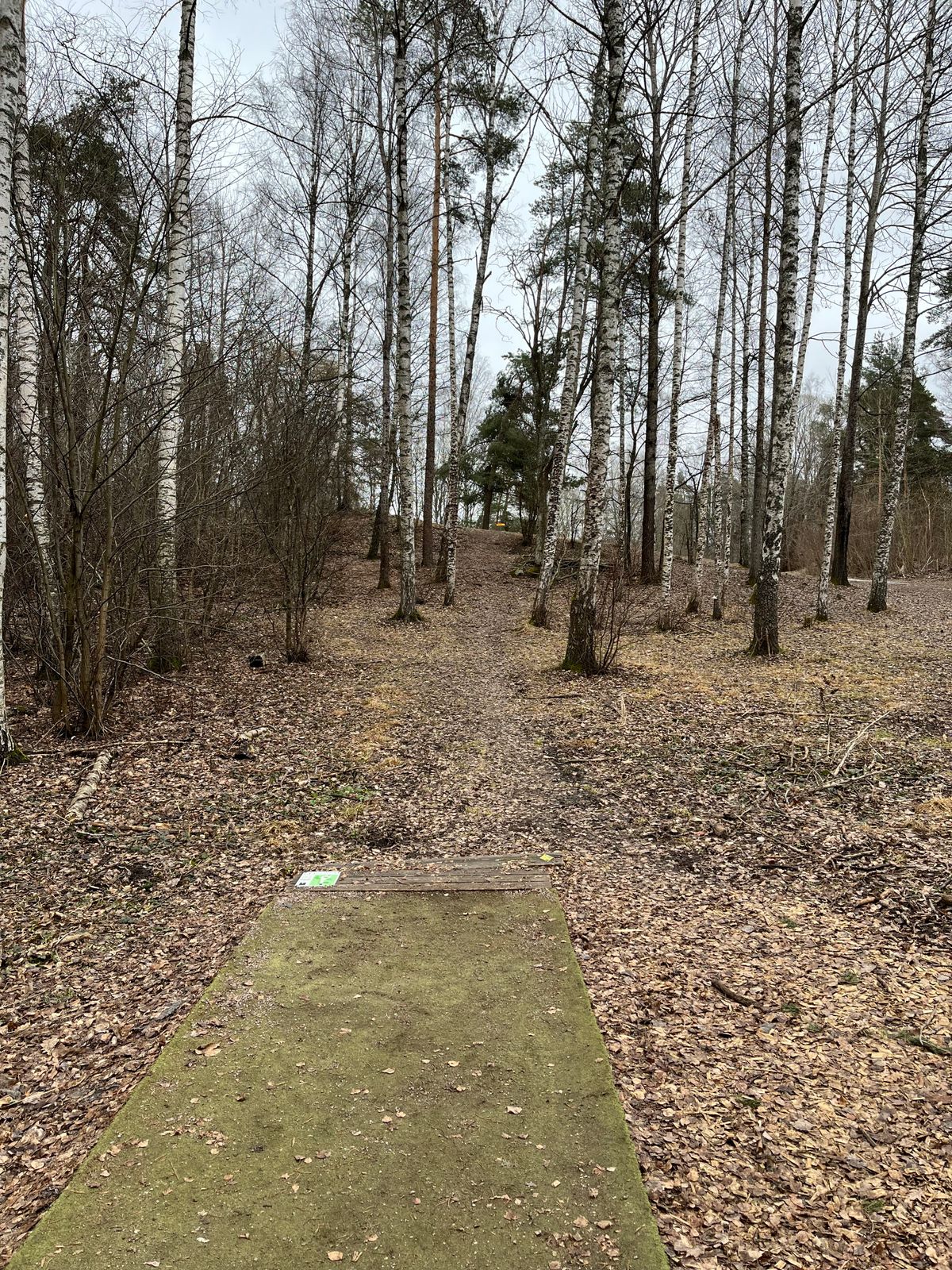 Hål 1 (svart)