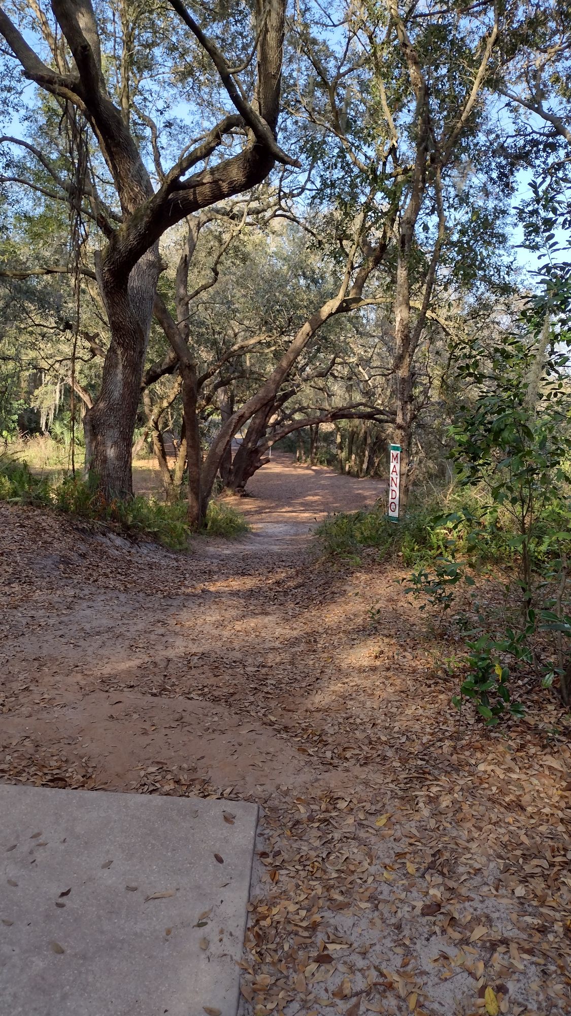 Hole 9 way downhill with a low ceiling and mando